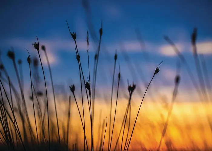 Cozy In With Sauna Casa de Férias